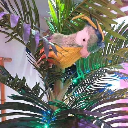 דירה Wonder Paradisio נרחה